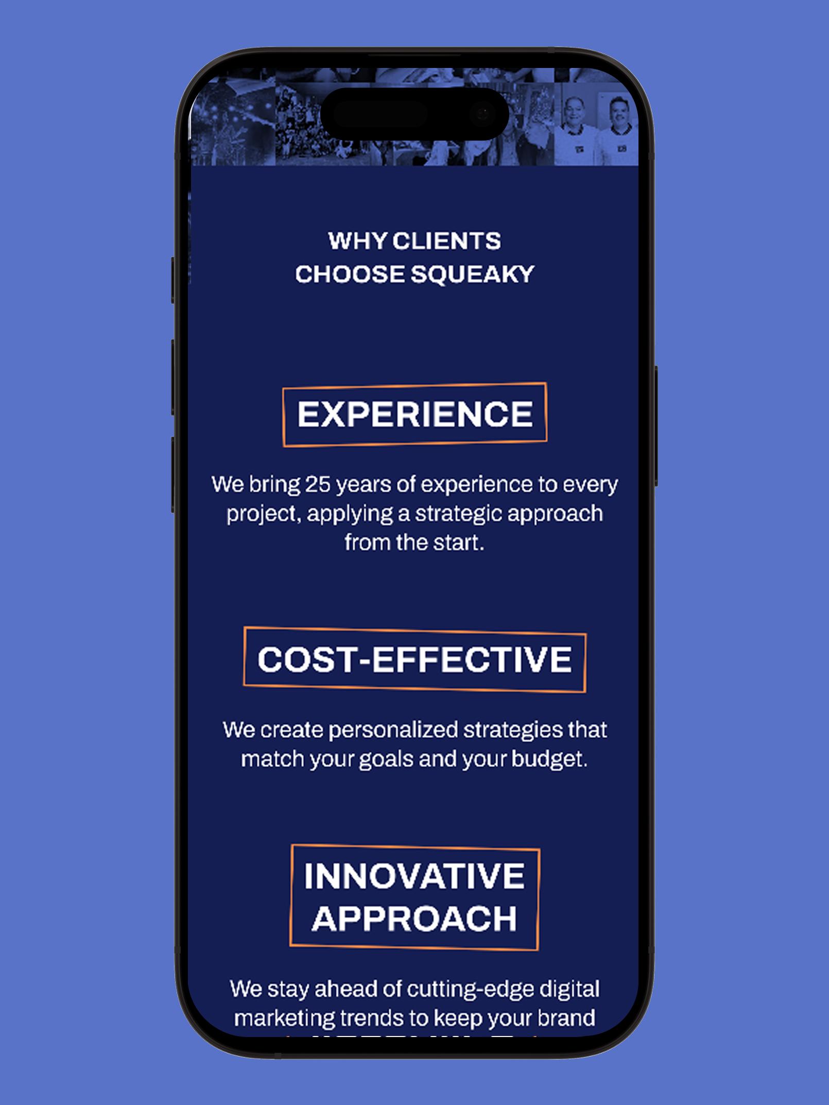 Squeaky — website design